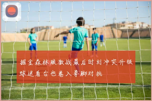 掘金森林狼激战最后时刻冲突升级球迷看台也卷入拳脚对抗