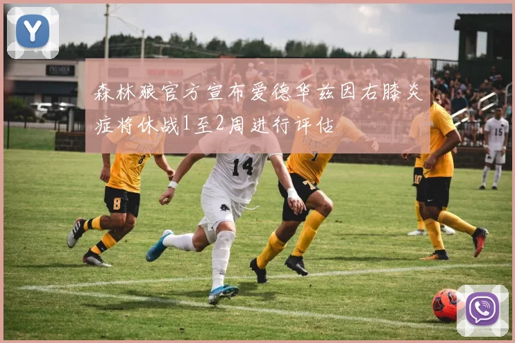 森林狼官方宣布爱德华兹因右膝炎症将休战1至2周进行评估